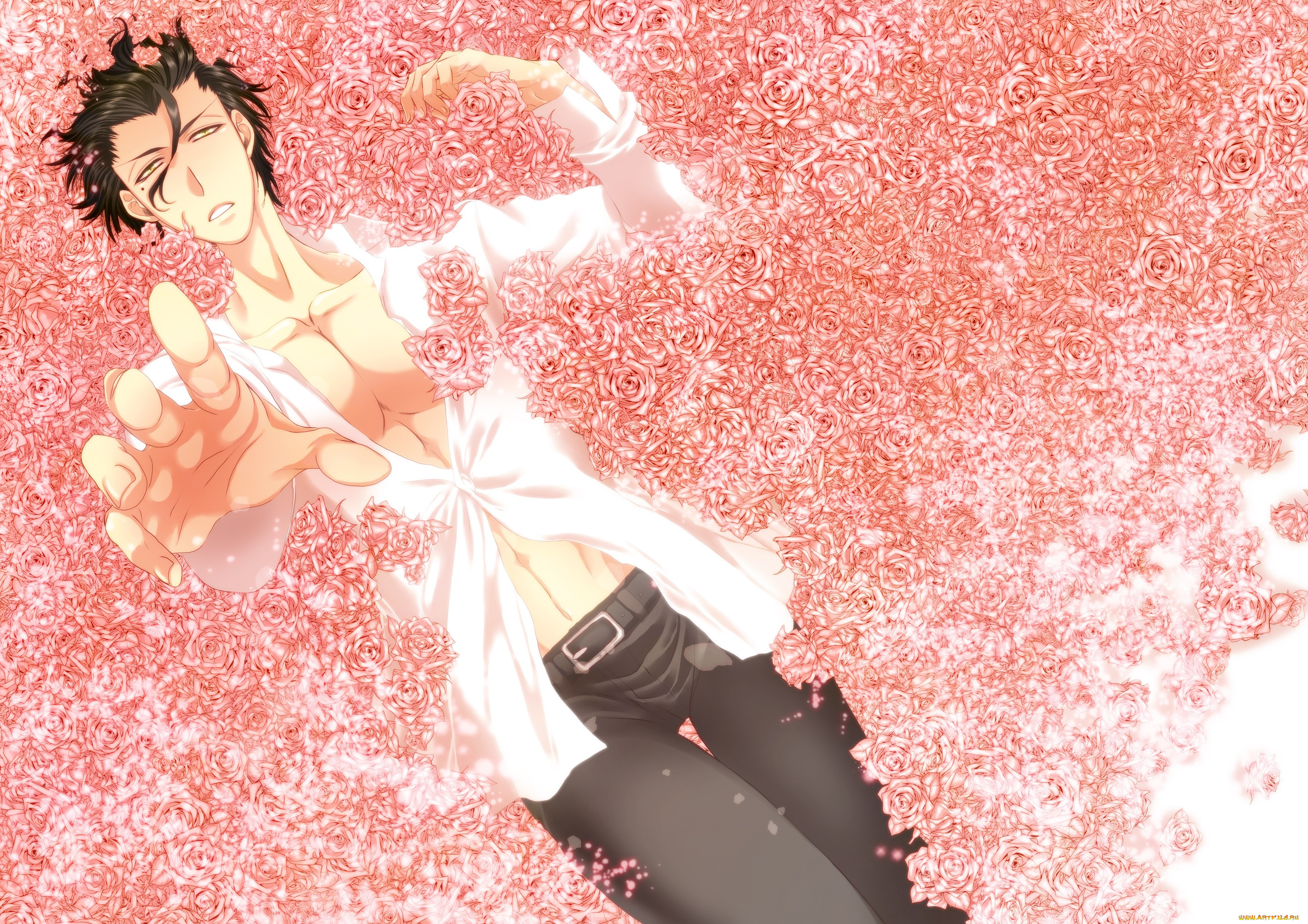 , fate, zero, 